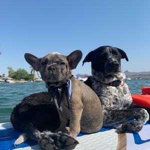 Meet your Posher, Ashtin